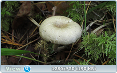 0_edad5_4f87e273_orig.png