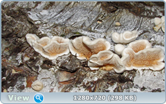 0_fc493_1e559bae_orig.png