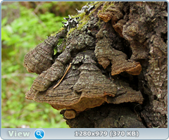 0_fc3a3_341eef5e_orig.png