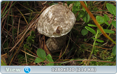 0_fb815_f488af71_orig.png
