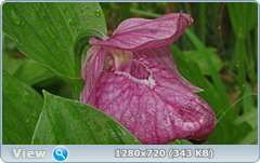 0_e6a64_212e8140_orig.png