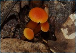 0_d2464_c22bf680_orig.jpg
