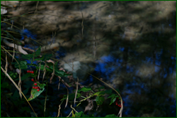 0_d95e1_7c02665_orig.png