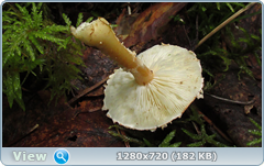 0_eab67_640d40b1_orig.png