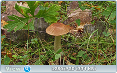 0_ef6a7_91312f61_orig.png