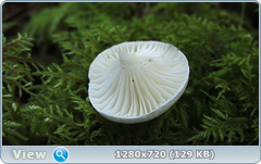 0_112a0d_1cbd876a_orig.png