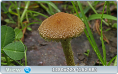 0_11355b_72a5befd_orig.png