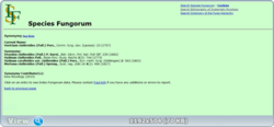 0_11f580_848bf240_orig.png