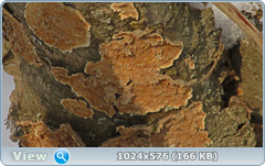 0_120991_bc754cd6_orig.png