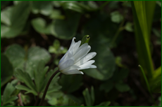 0_e1341_2fc61c07_orig.png