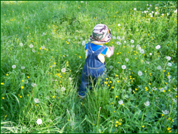 0_106824_7d58ec51_orig.png