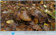 0_fc759_312507c_orig.png