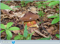 0_102d80_41cbc948_orig.png