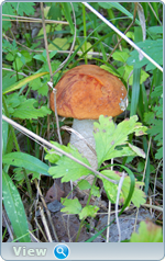 0_102d98_4bf7e828_orig.png