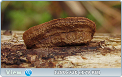 0_fd6cb_acad42a9_orig.png
