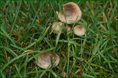 0_e532f_ceb8d819_orig.png