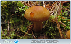 0_1073e9_9c356099_orig.png