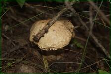 0_ea334_e815d015_orig.jpg