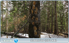 0_1020a6_1e3c263c_orig.png