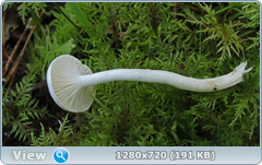 0_112a0b_43e1b755_orig.png