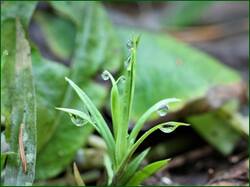 0_13ca97_4f837c8c_orig.jpg