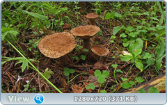 0_10aa09_4778d734_orig.png