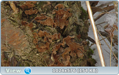 0_120984_8842d594_orig.png