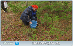 0_126444_d2dde99f_orig.png