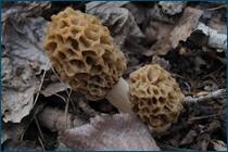 0_cc970_b4440e9e_orig.jpg