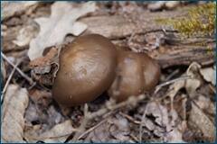 0_cce81_2568681e_orig.jpg
