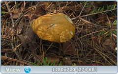 0_ef370_c5a8840e_orig.png