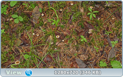 0_e6d01_c62204a_orig.png