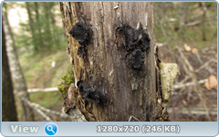 0_fb6c1_6b49858_orig.png