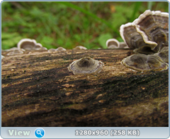 0_eb03e_3315d0e_orig.png