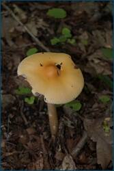 0_d093a_127d45d2_orig.jpg