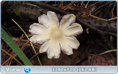 0_e9aef_d6a94181_orig.png