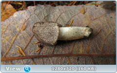 0_f2784_8f50bda8_orig.png