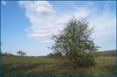 0_cc641_ba94168c_orig.jpg