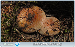 0_ecfcf_16ce6abd_orig.png