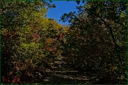 0_c3434_885d9ef1_orig.jpg