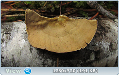 0_1027bd_d8bdd989_orig.png