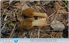 0_104cc3_3a4910bc_orig.png