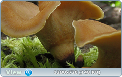 0_109725_8b17940_orig.png