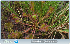 0_10a363_bf749238_orig.png