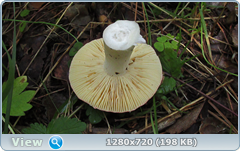 0_10aeca_b967221a_orig.png