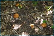 0_d3280_51590b2f_orig.jpg