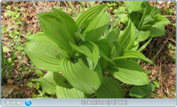 0_e3790_73e2c2a8_orig.png