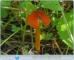 0_eb07a_742ec125_orig.png