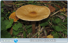 0_f12a7_7dc76a6d_orig.png