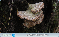 0_fc3bf_5a7f737a_orig.png